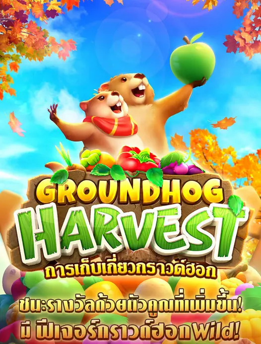 pg groundhog harvest
